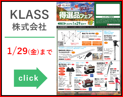 KLASS_20261013-20270129